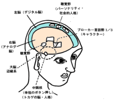 左脳　右脳　キャラクター　トカゲの脳　パーソナリティ